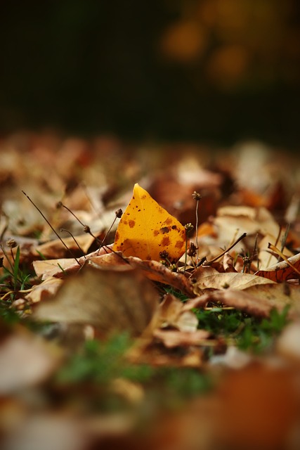 一个值得探 一个值得探