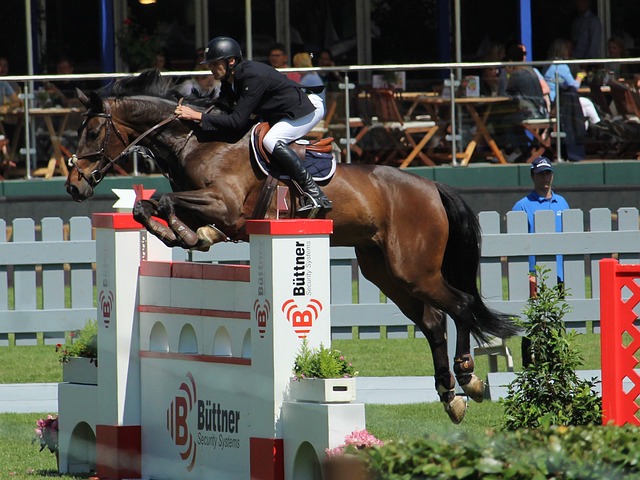 的代表人物 的代表人物