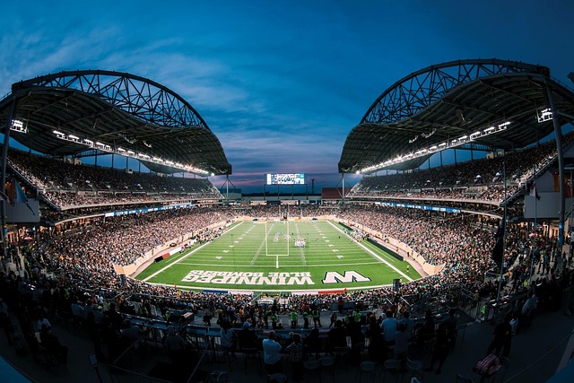 或奢侈的浪 或奢侈的浪