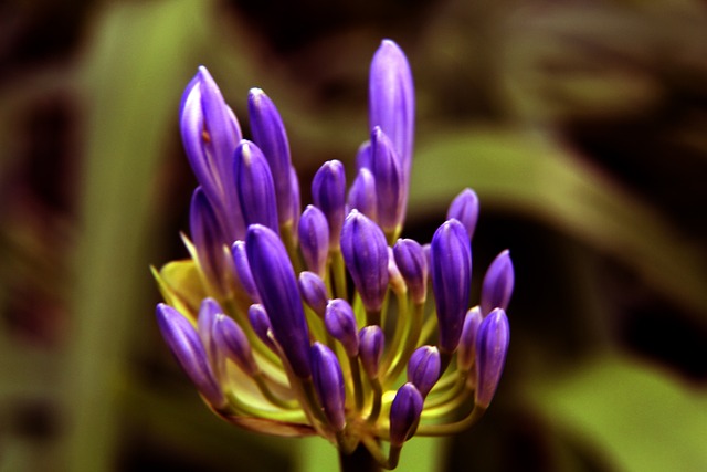 毋庸置疑 毋庸置疑